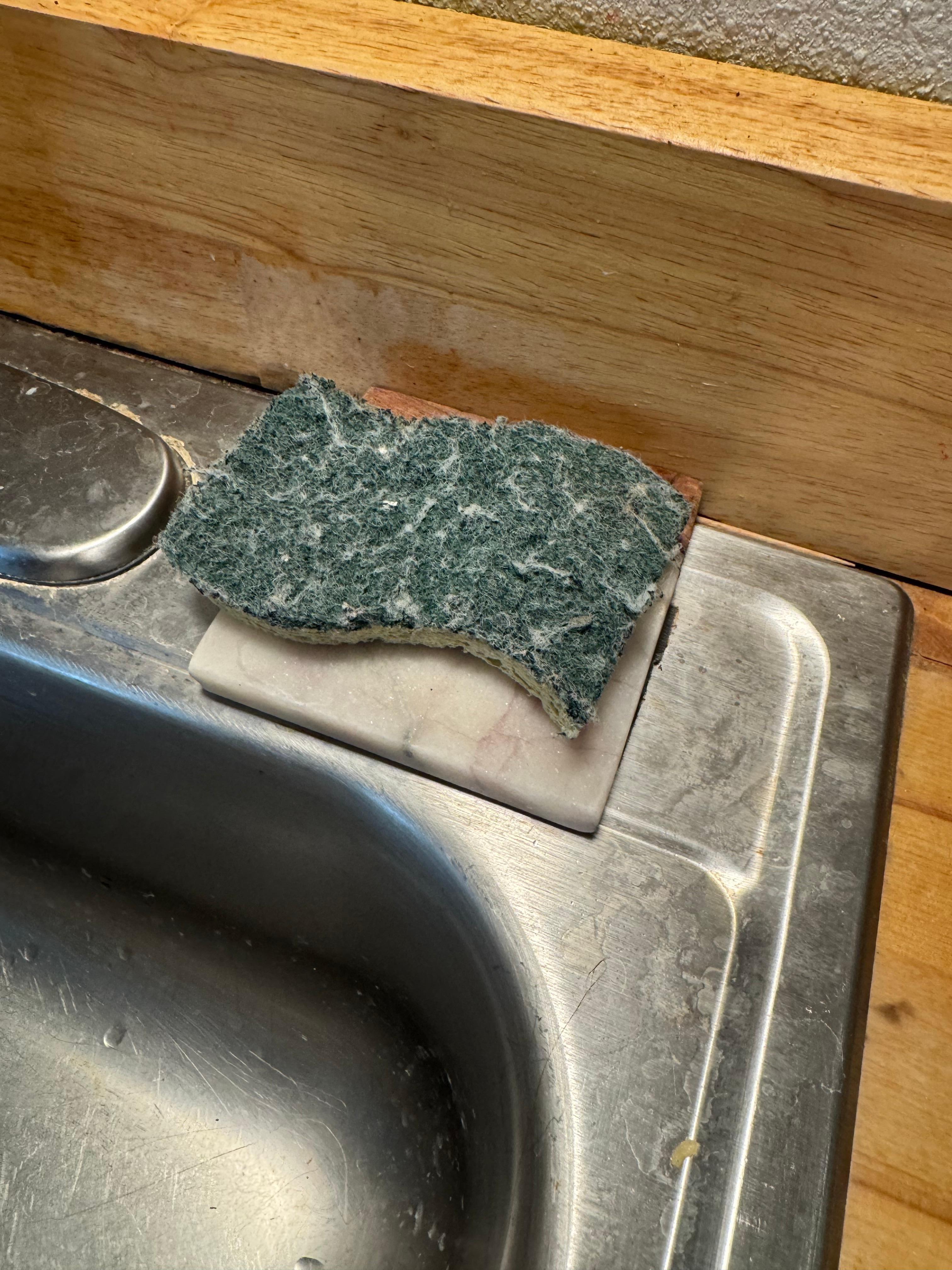 Filthy sponge