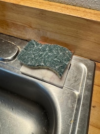 Filthy sponge