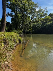 Meramac River access behind Sassafras