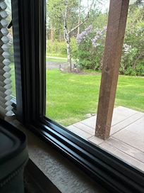 Picture of two wild turkey from the kitchen window. They had been on the front porch.