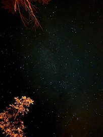Beautiful star-filled night!