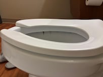 I could see mold growing by the toilet ring