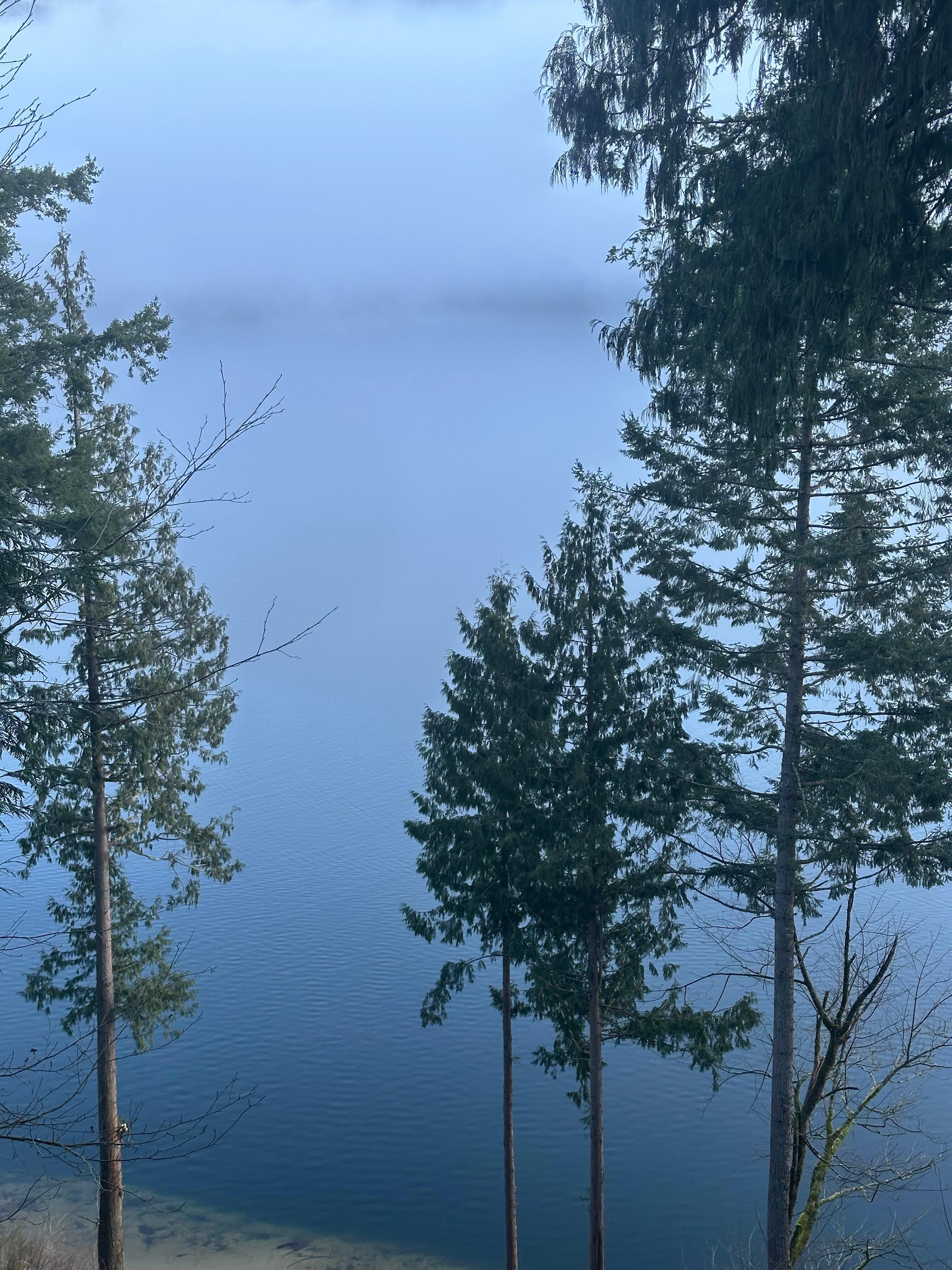 From the basement sitting area next to the hottub