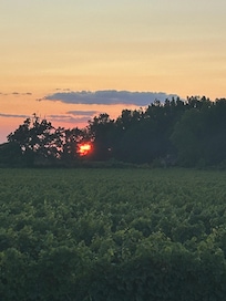 Beautiful sunset from the patio