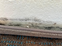 Mold