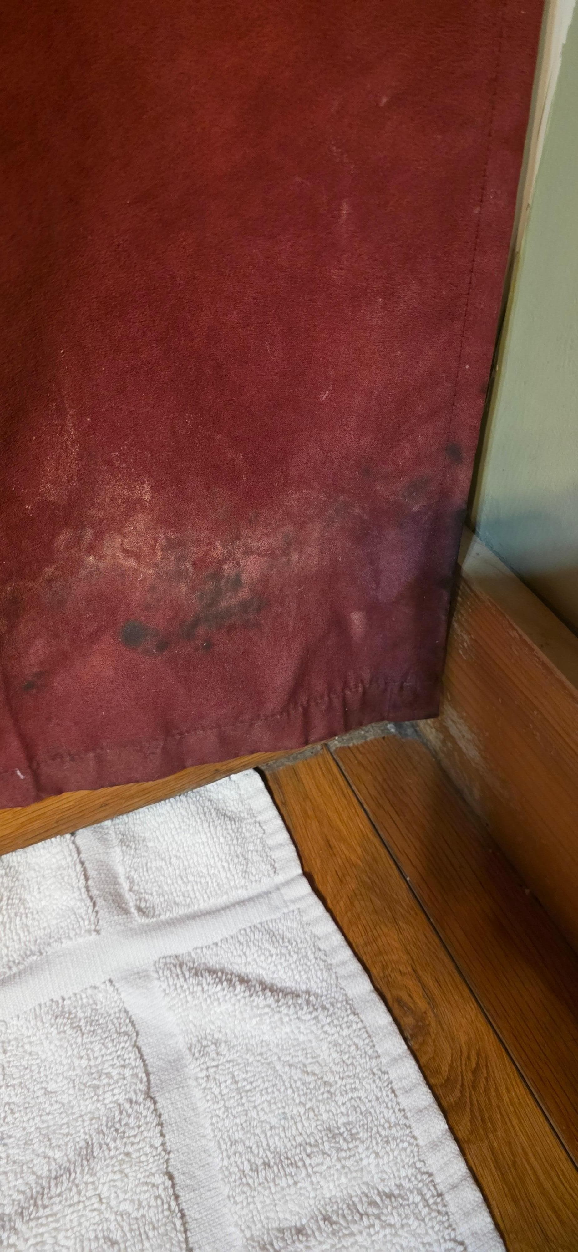 Black mold on shower curtain 