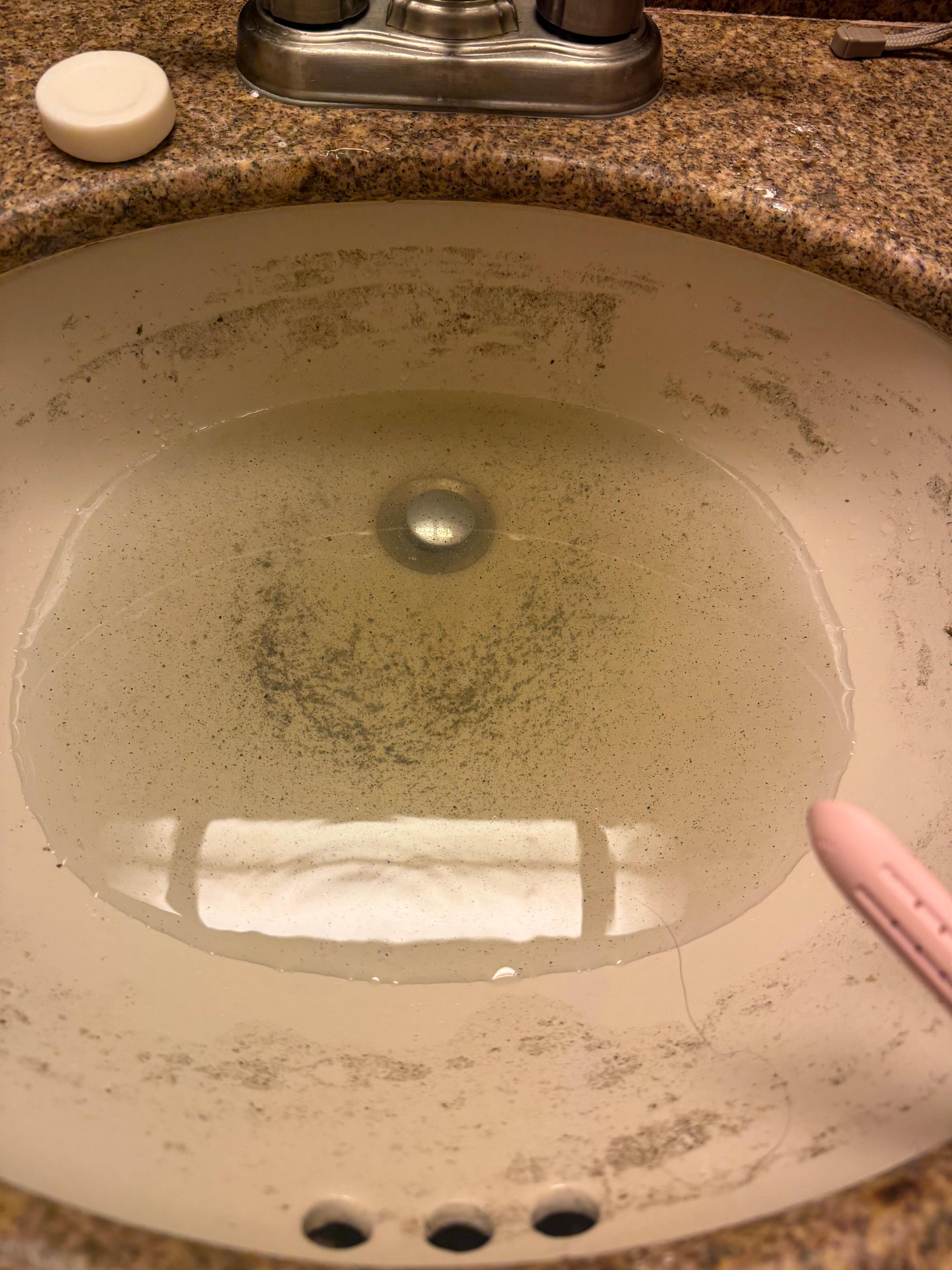 After we tried to rinse the sink. It was all black before I took the picture. 