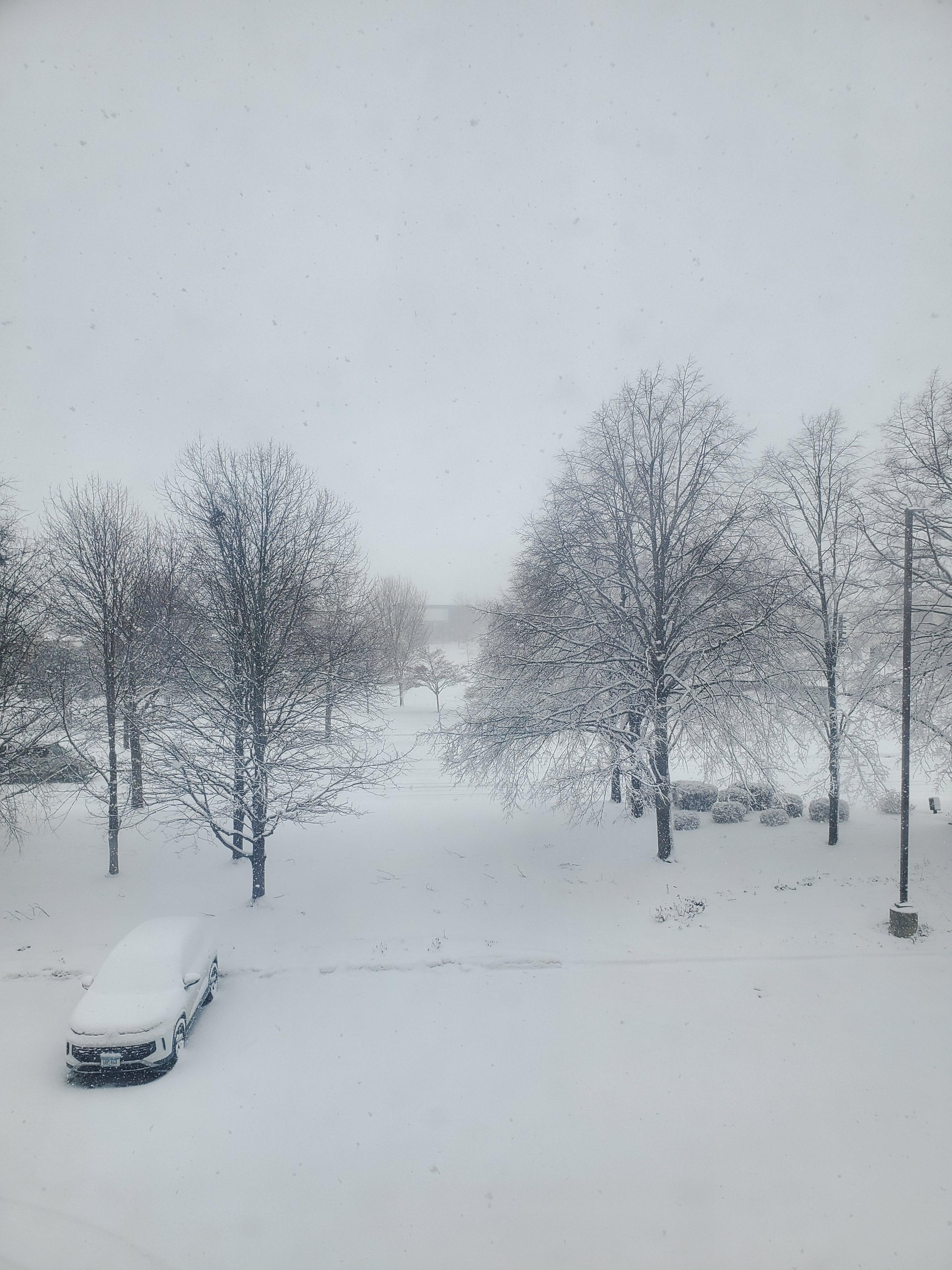 Cleaned walkways and parking lot from snowfall very quickly