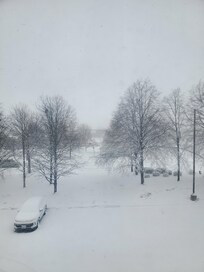 Cleaned walkways and parking lot from snowfall very quickly