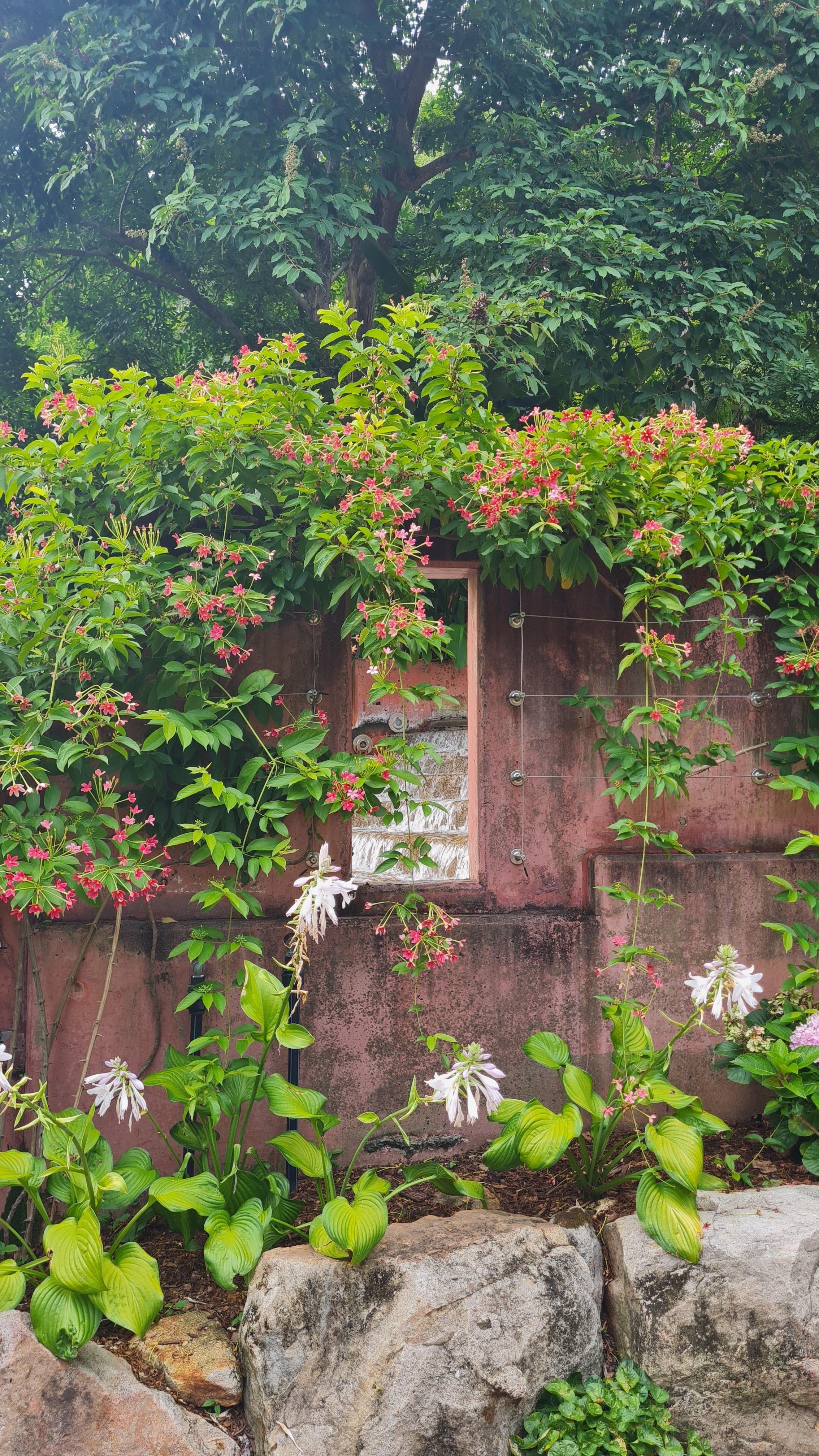 Absolutely gorgeous stroll  through the parkland after our meal