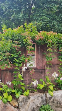 Absolutely gorgeous stroll through the parkland after our meal