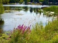 Black river in Dexter