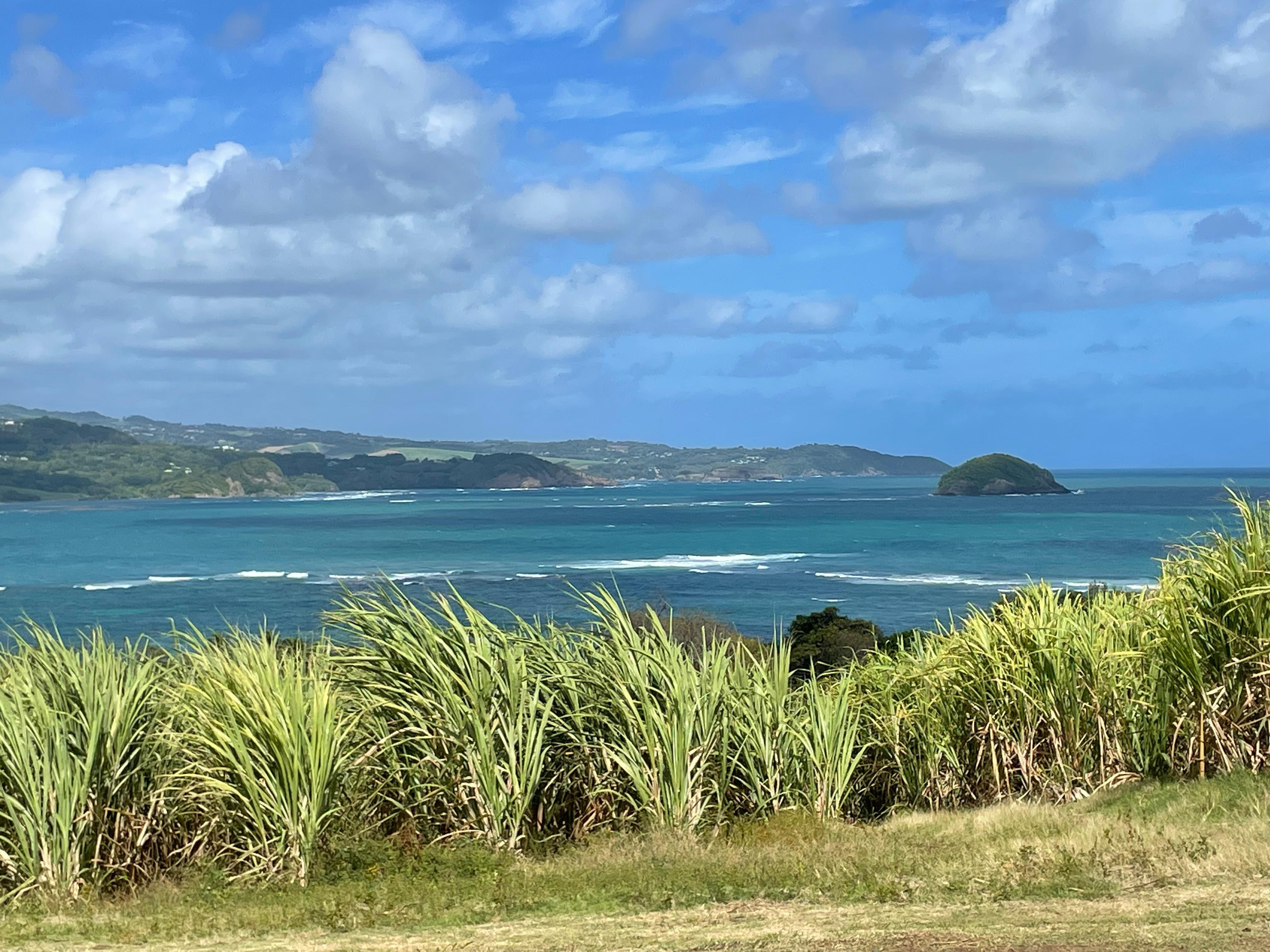 Vue de la mer en cour de promenade