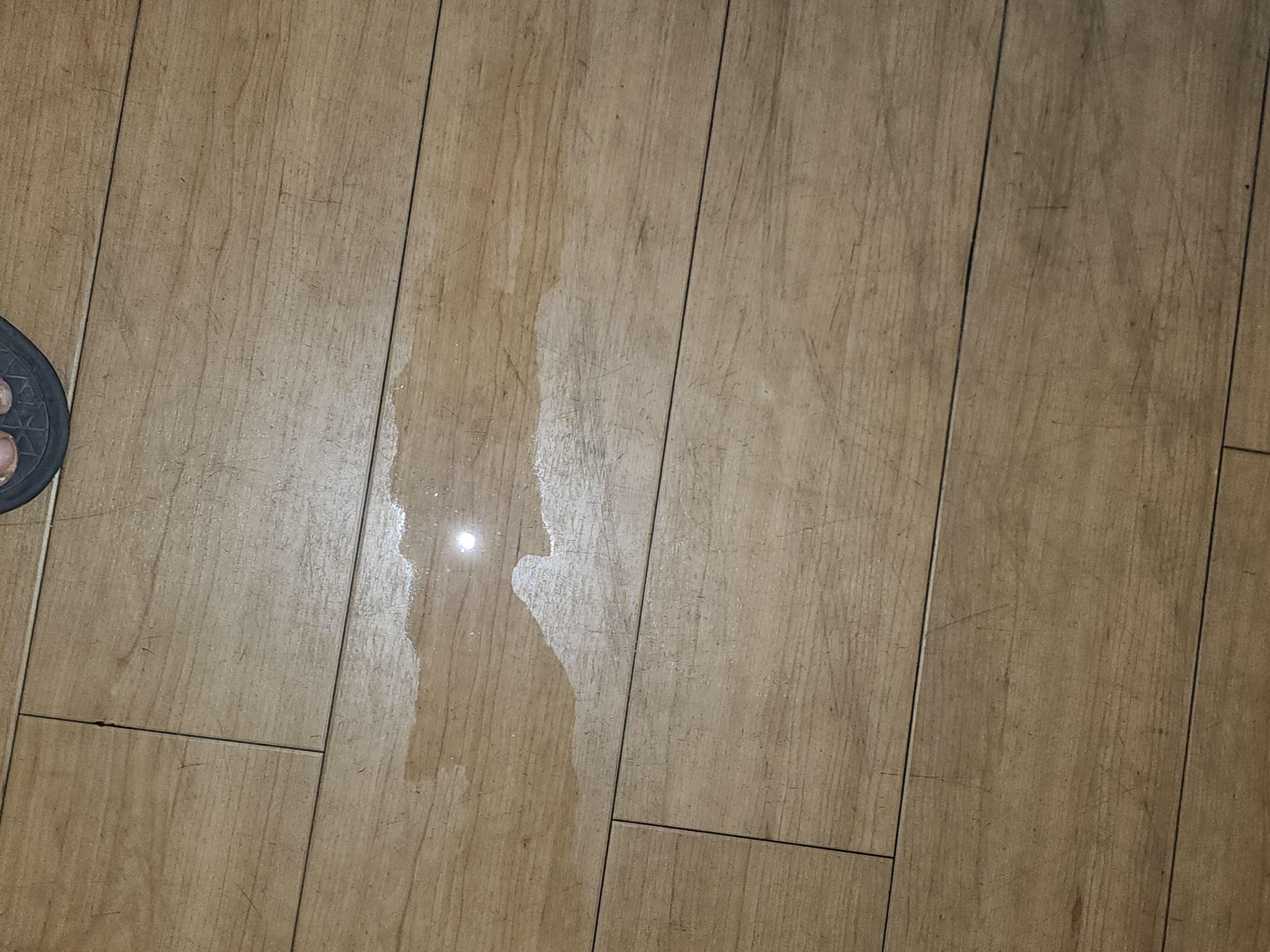 Puddle in room