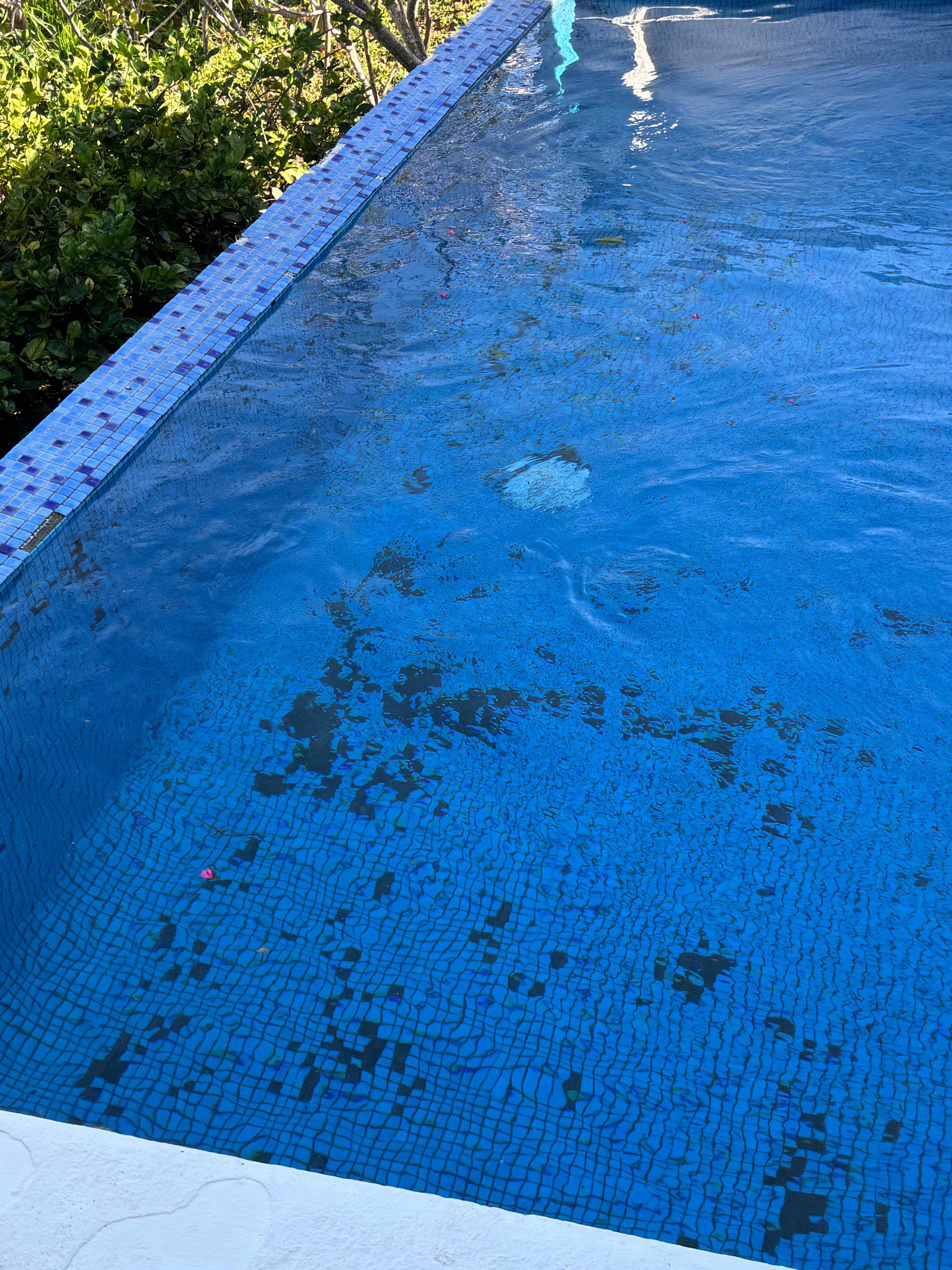 All the pool tiles falling off 