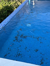 All the pool tiles falling off