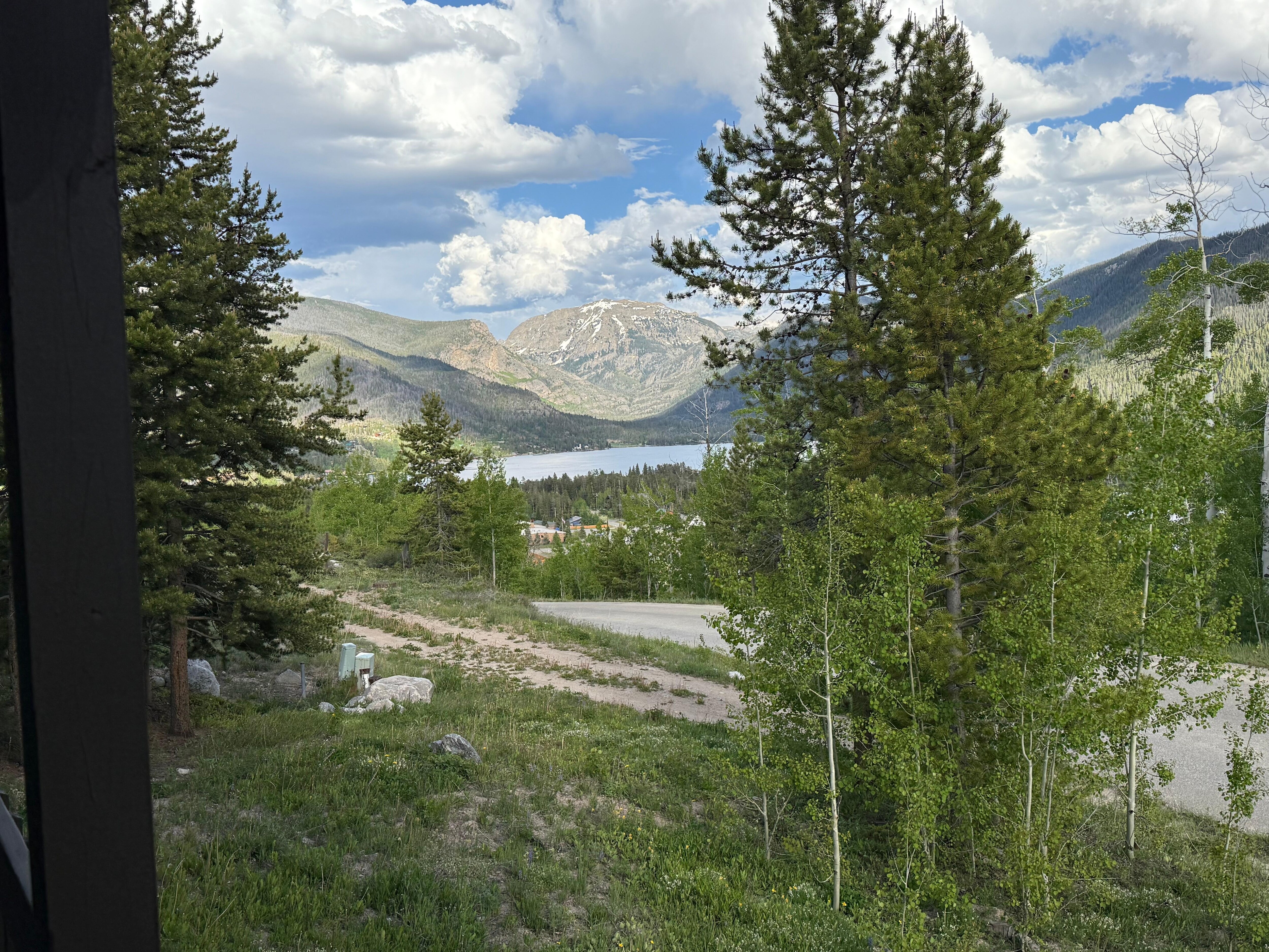 View from back porch