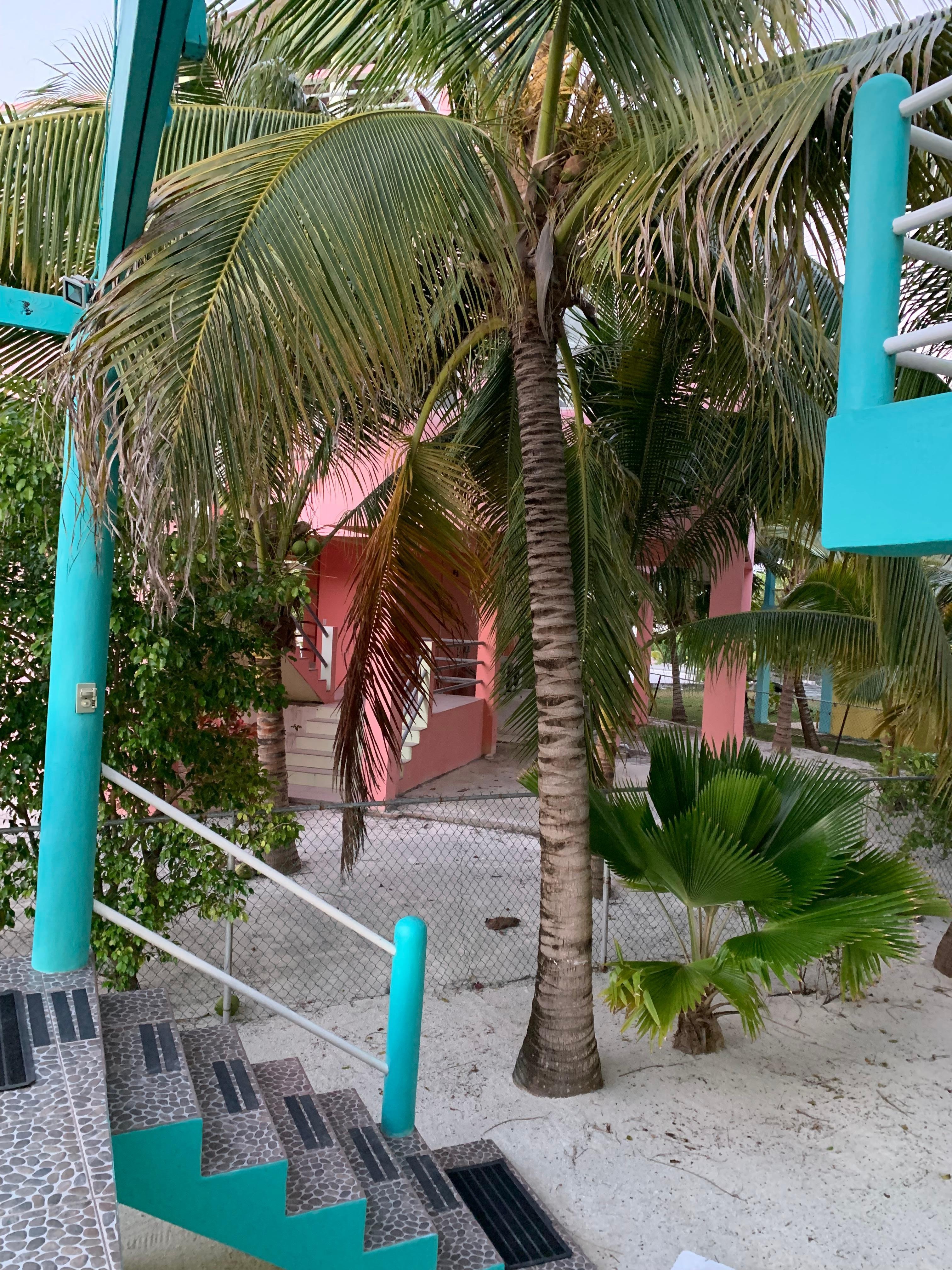 Green garden in a sand lot