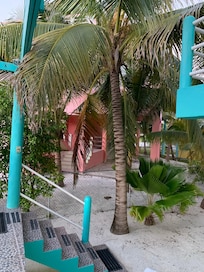 Green garden in a sand lot