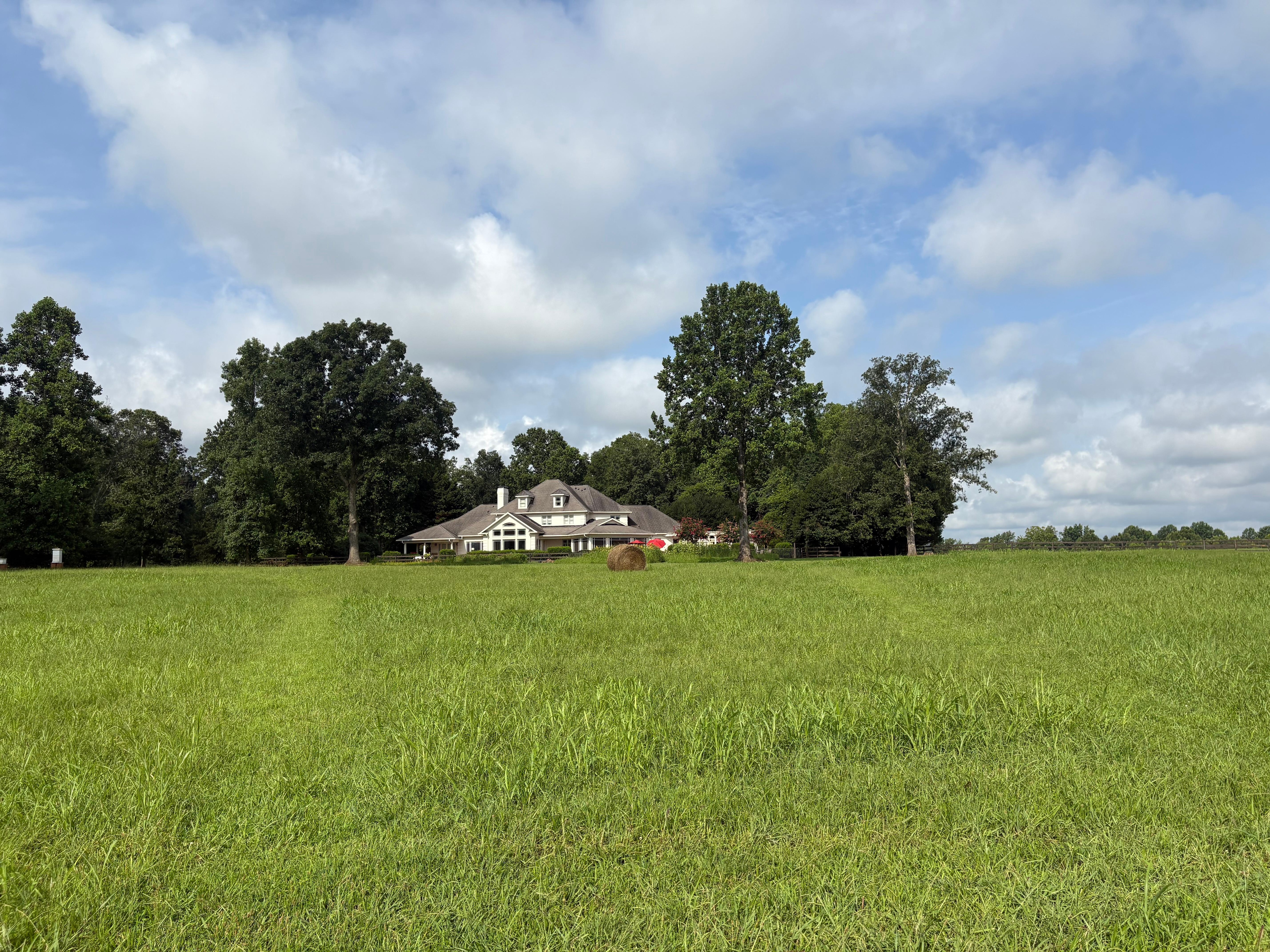 View of house from pond