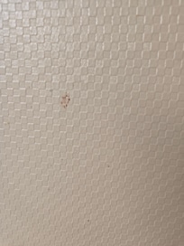Stain on bathroom wall