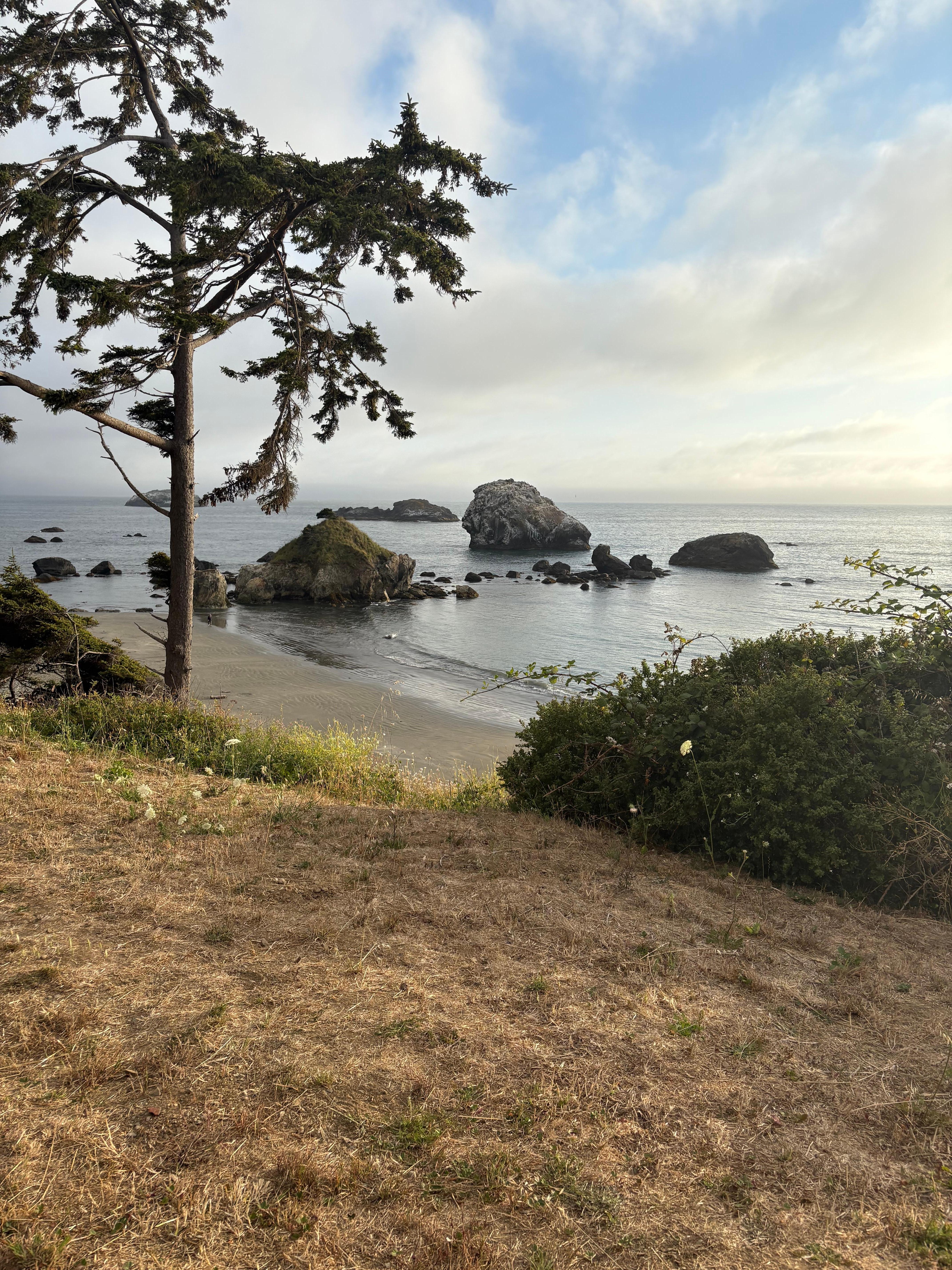 View from S Pebble Beach Dr (4ish blocks from Napa St)