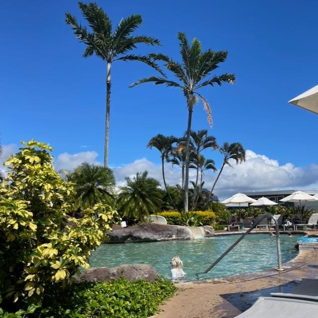 Poipu Athletic Club pool slide