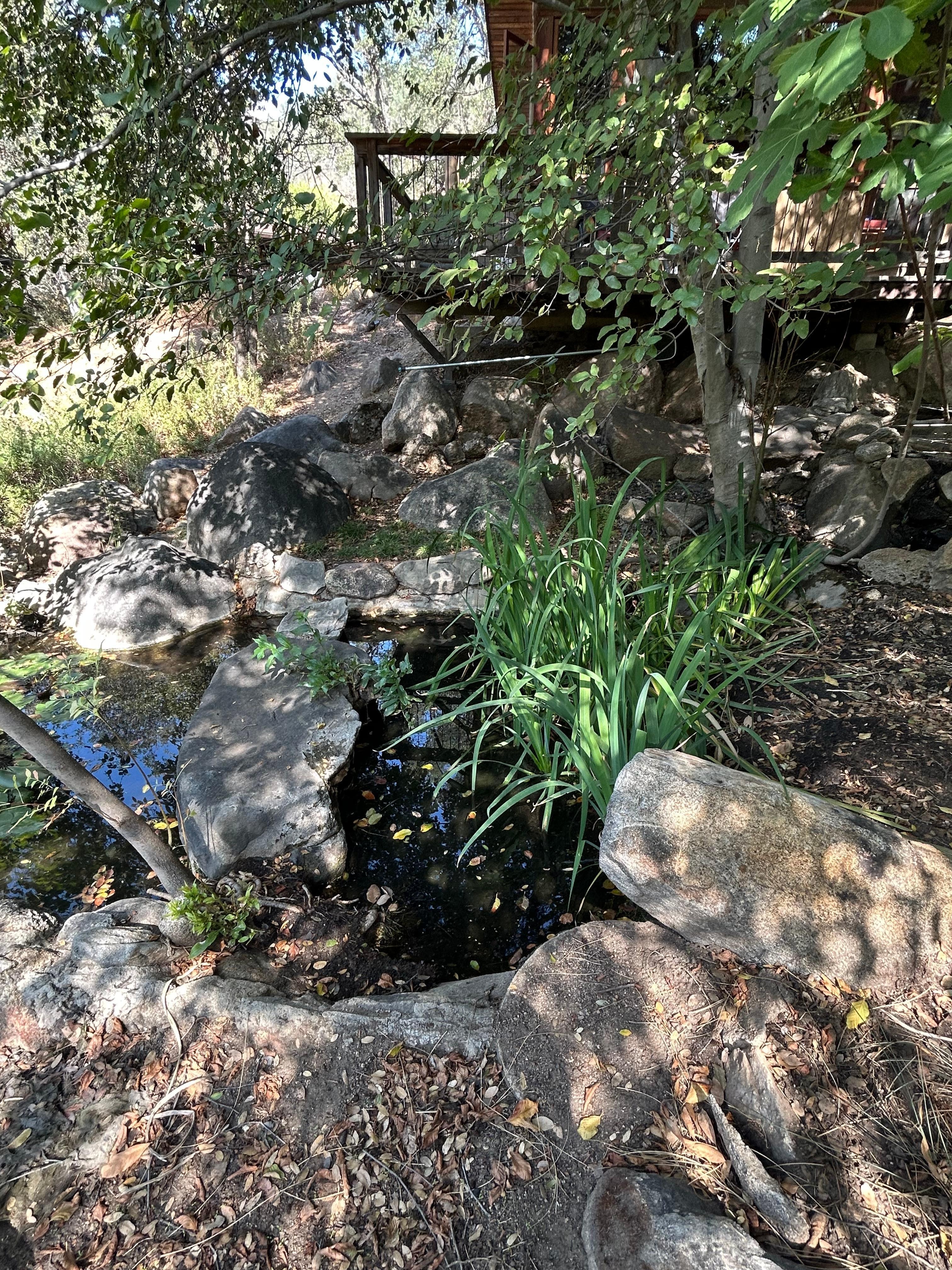 Cascading ponds below deck