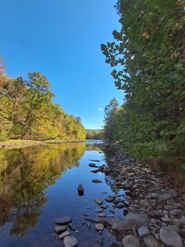 View from the river