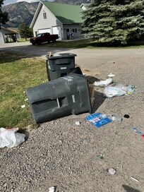 Trash can knocked over