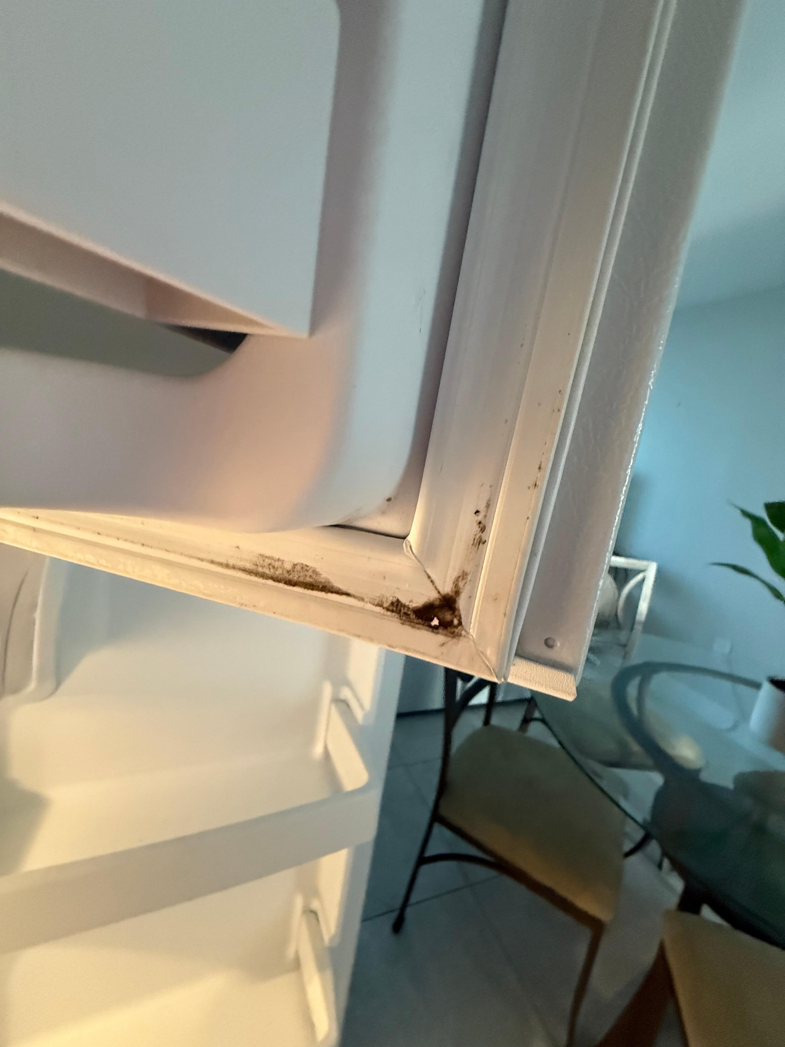 Second unit mold in freezer 