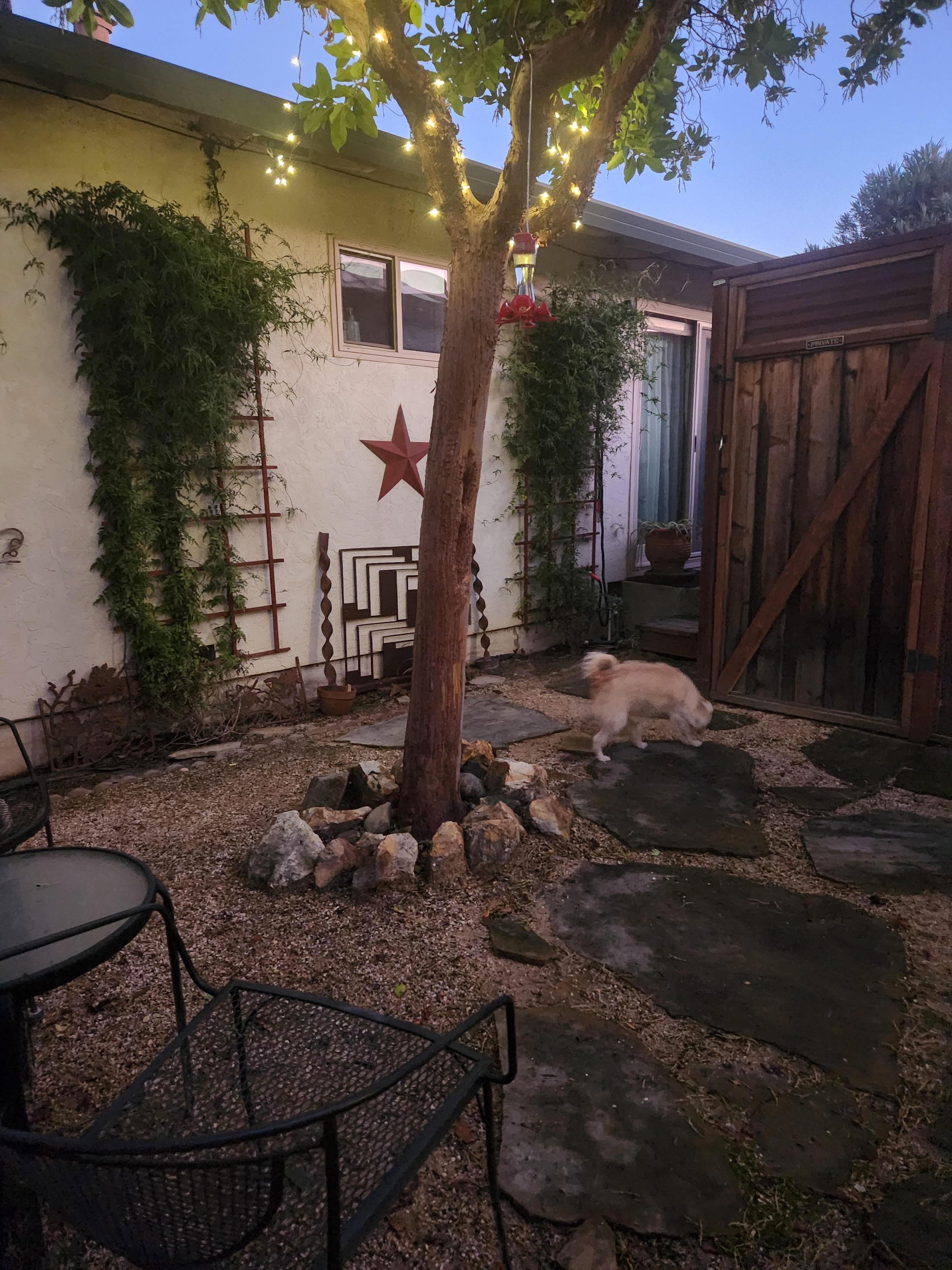 Partial view of backyard 