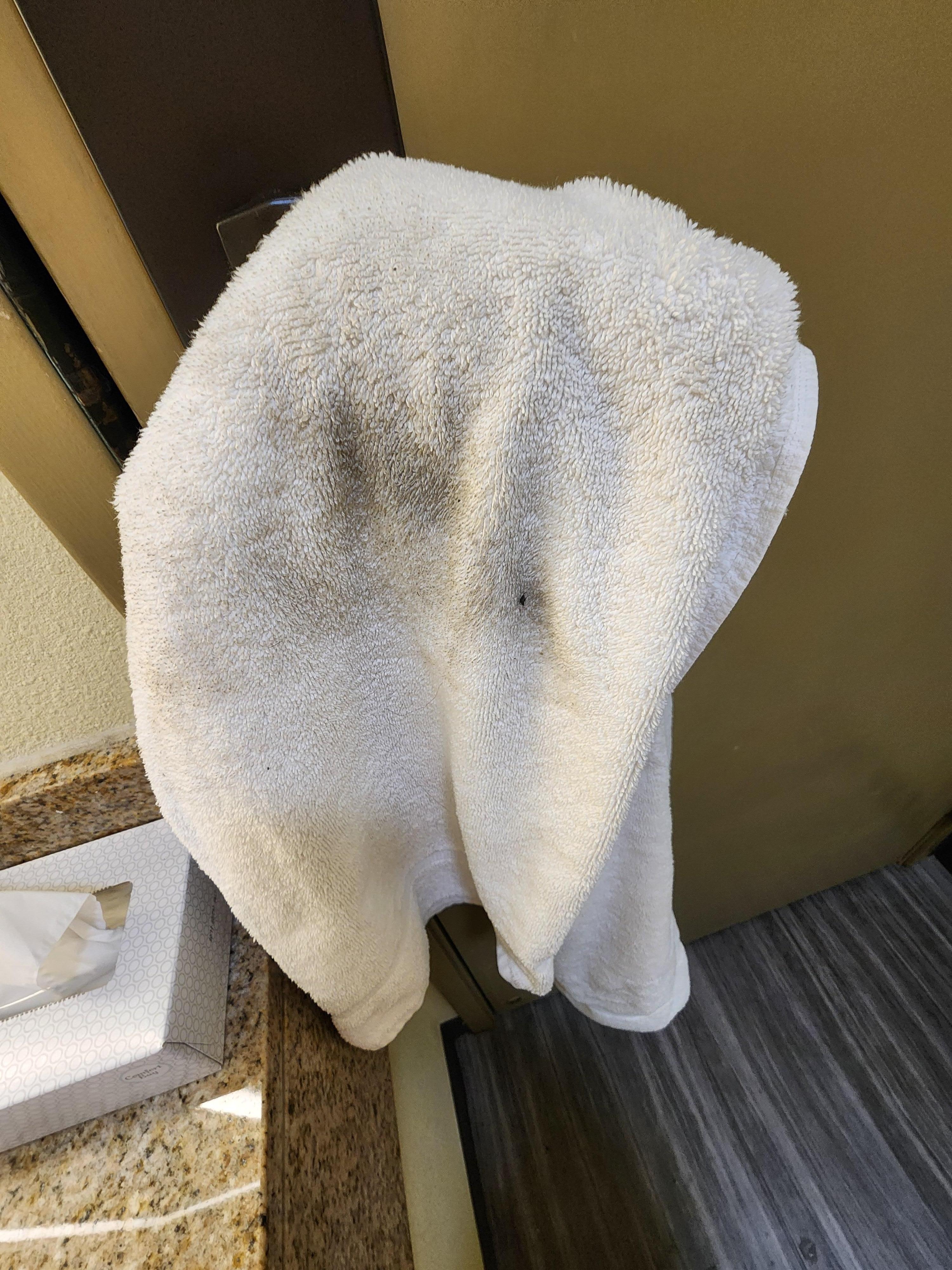 Towel after cleaning up water