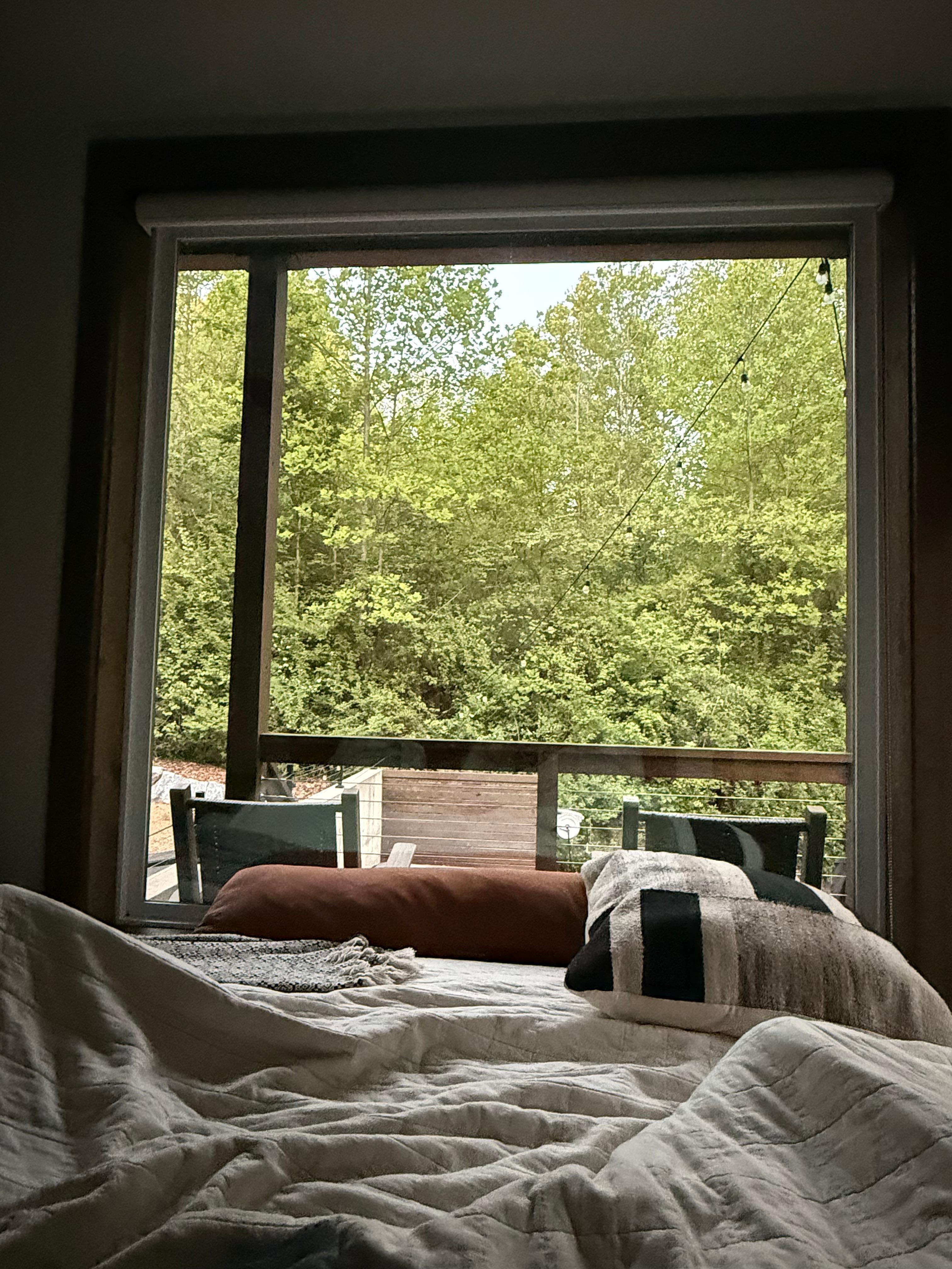 Morning wake up view