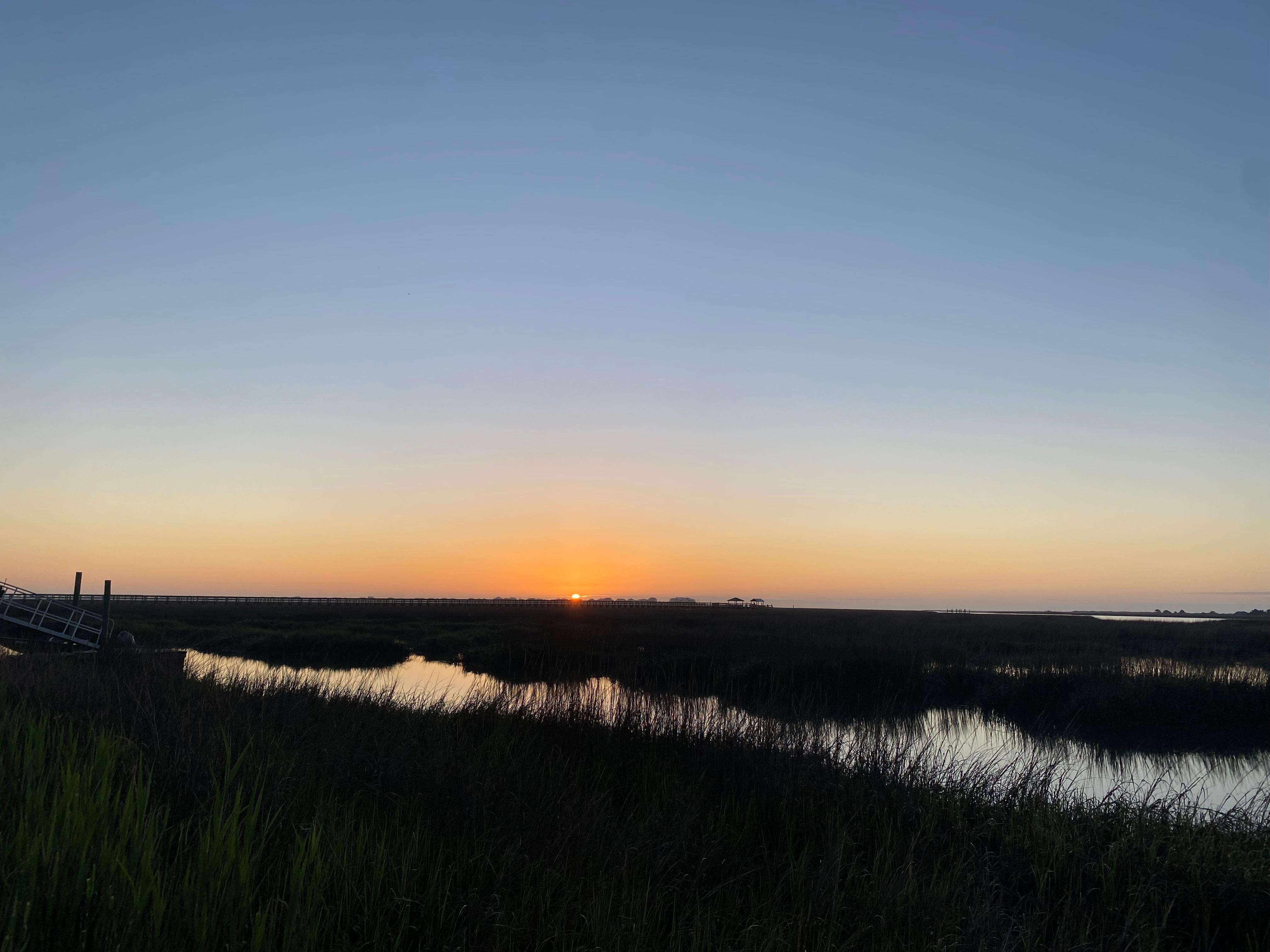 Sunrise from the yard. 