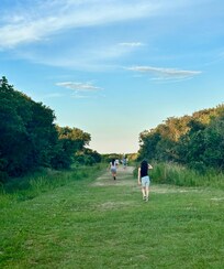 Trail to the beach