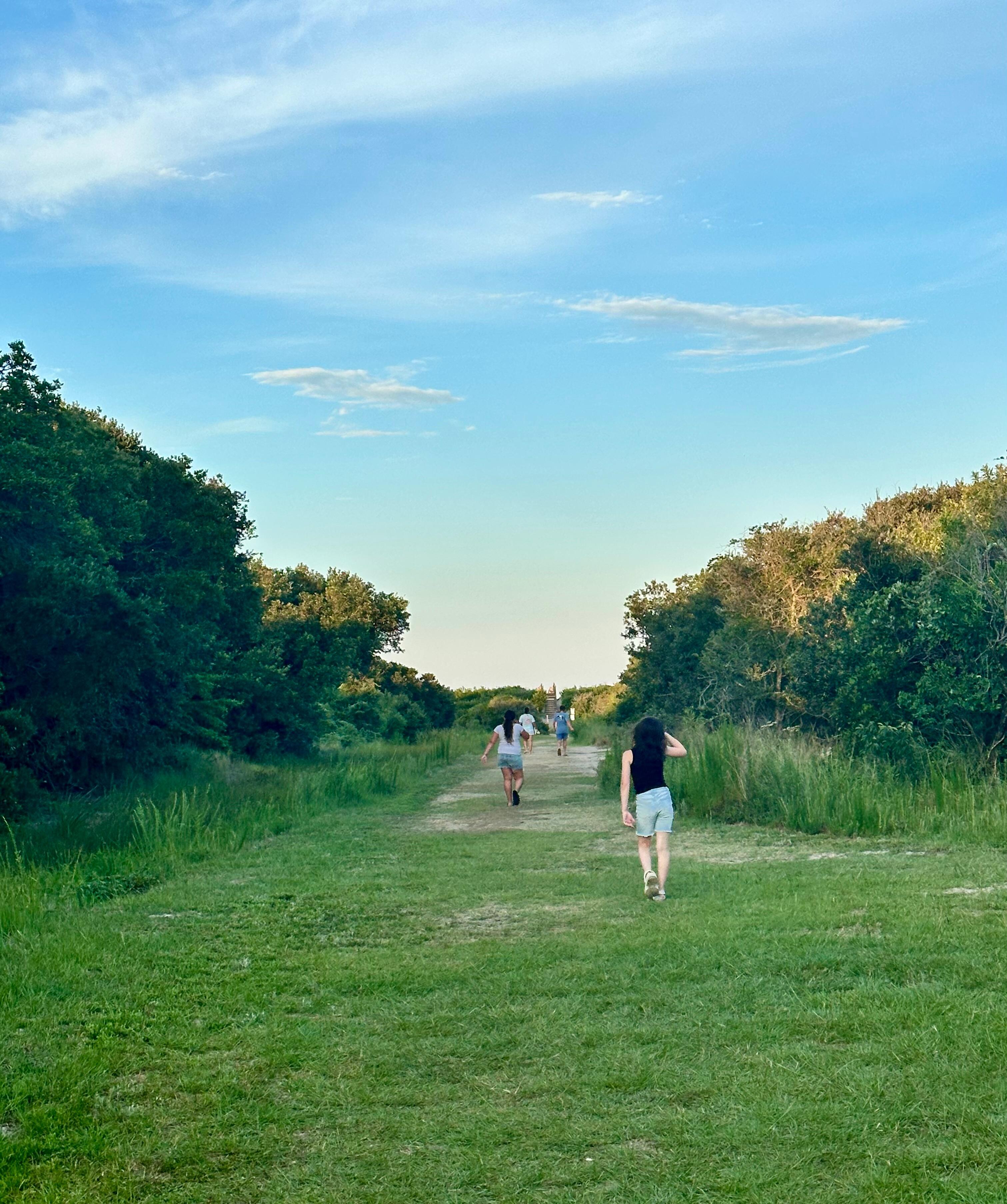 Trail to the beach