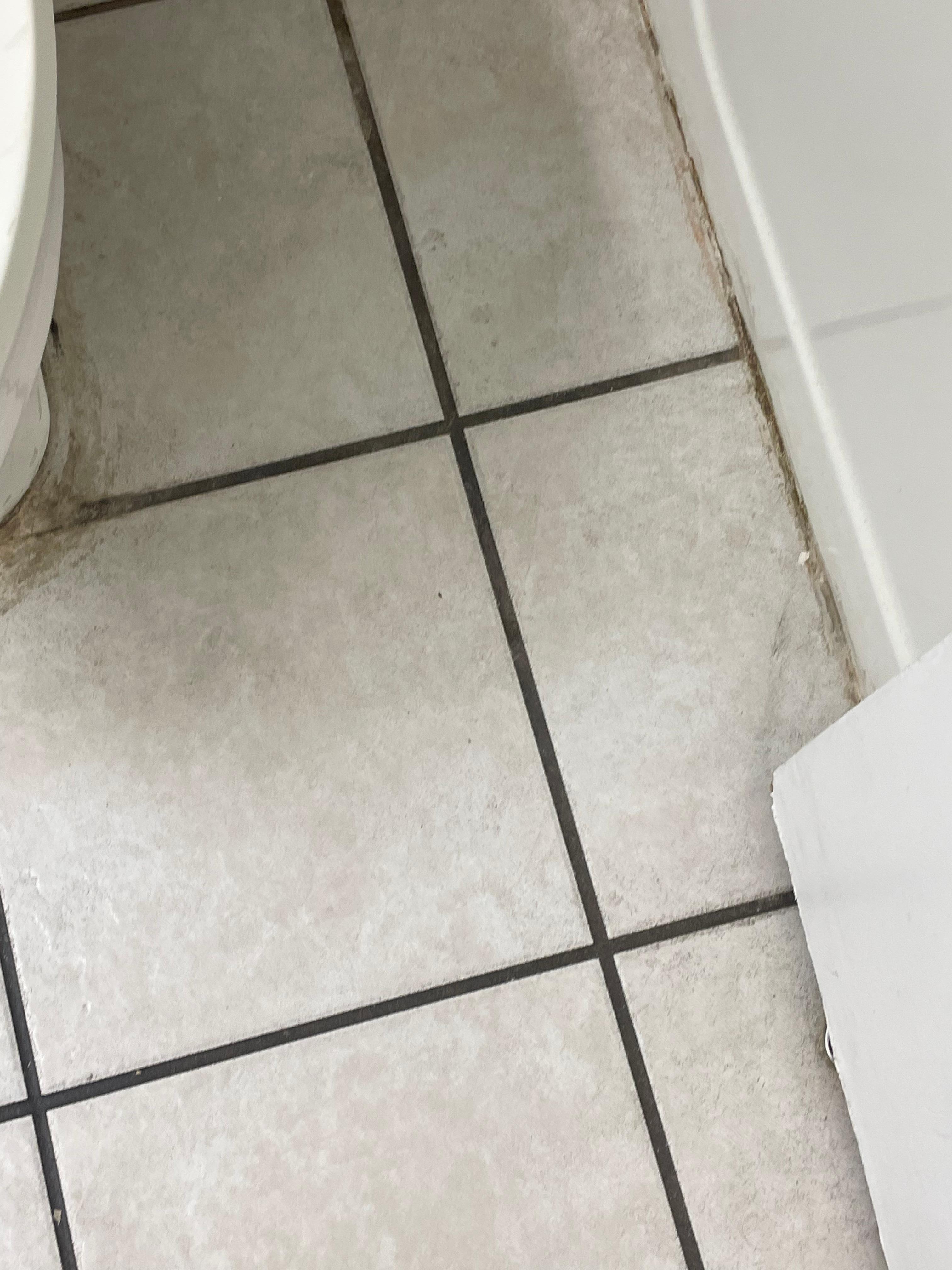 Mold in bathroom, dirty floors upon arrival 