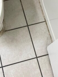 Mold in bathroom, dirty floors upon arrival