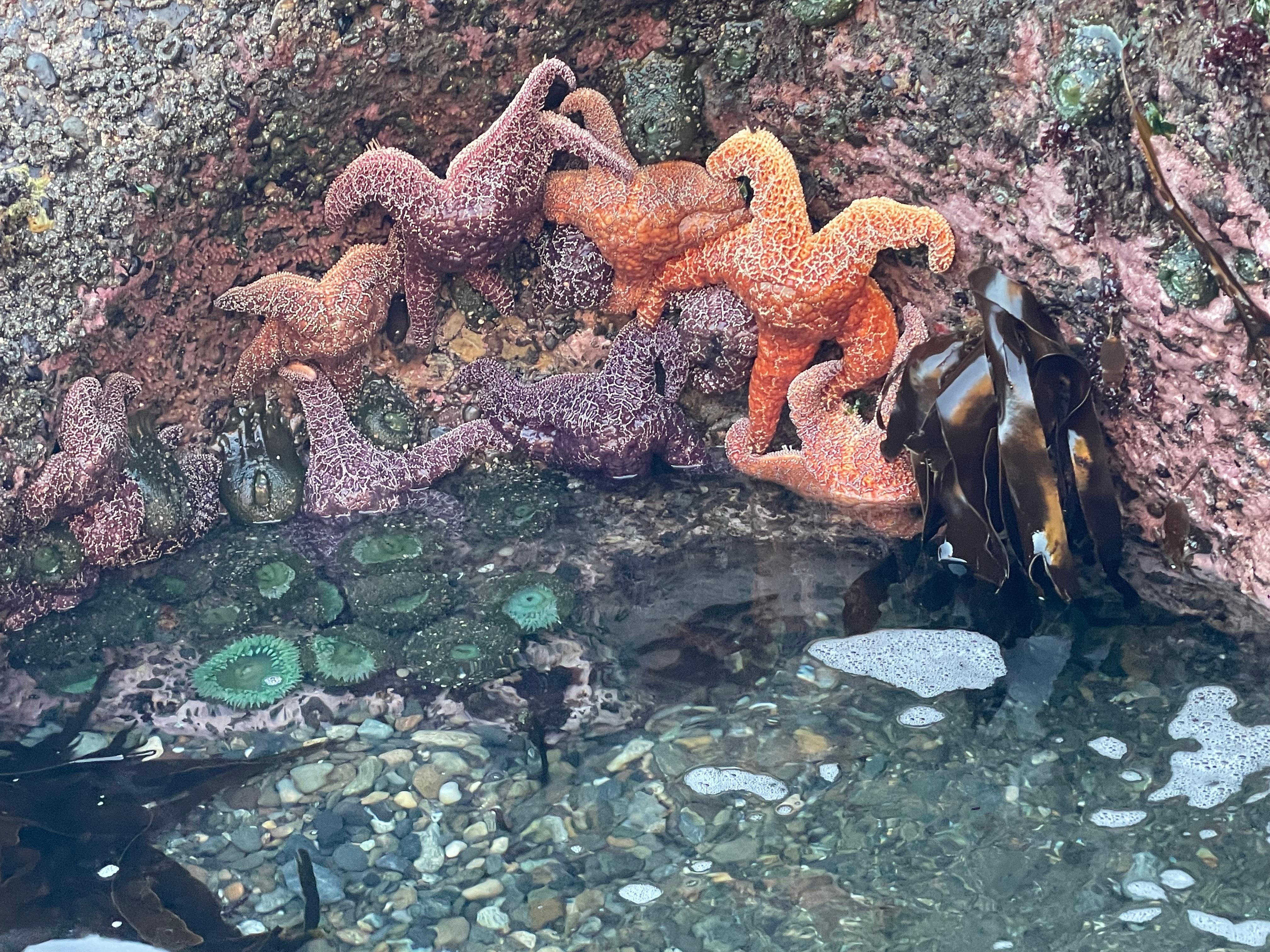 Low tide on the beach