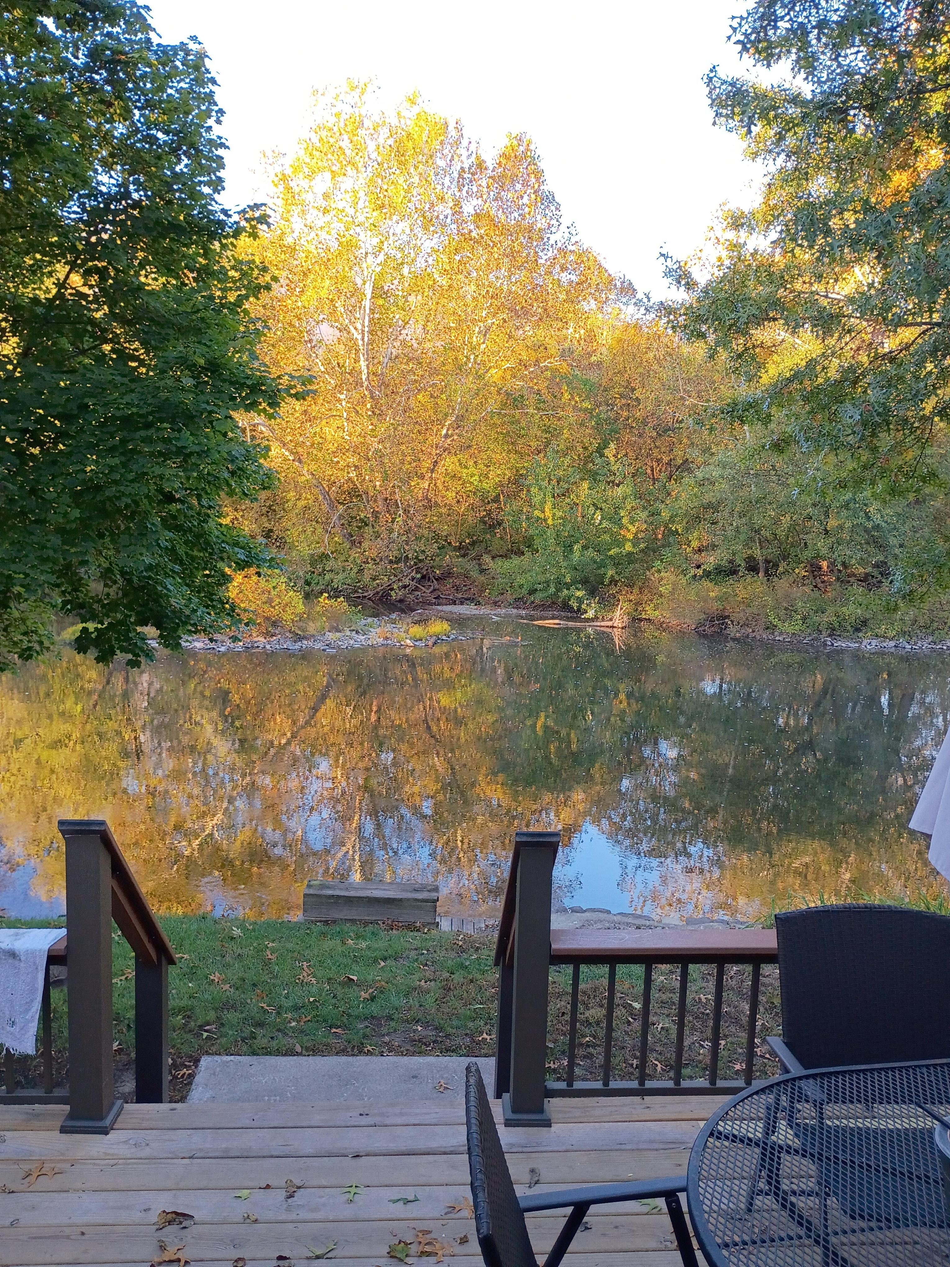 The view from the porch in the morning.