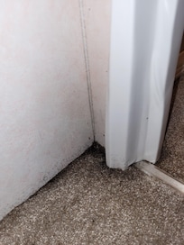 Mold creeping through carpet, master bedroom door frame - 2