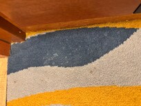 Room carpet was not clean