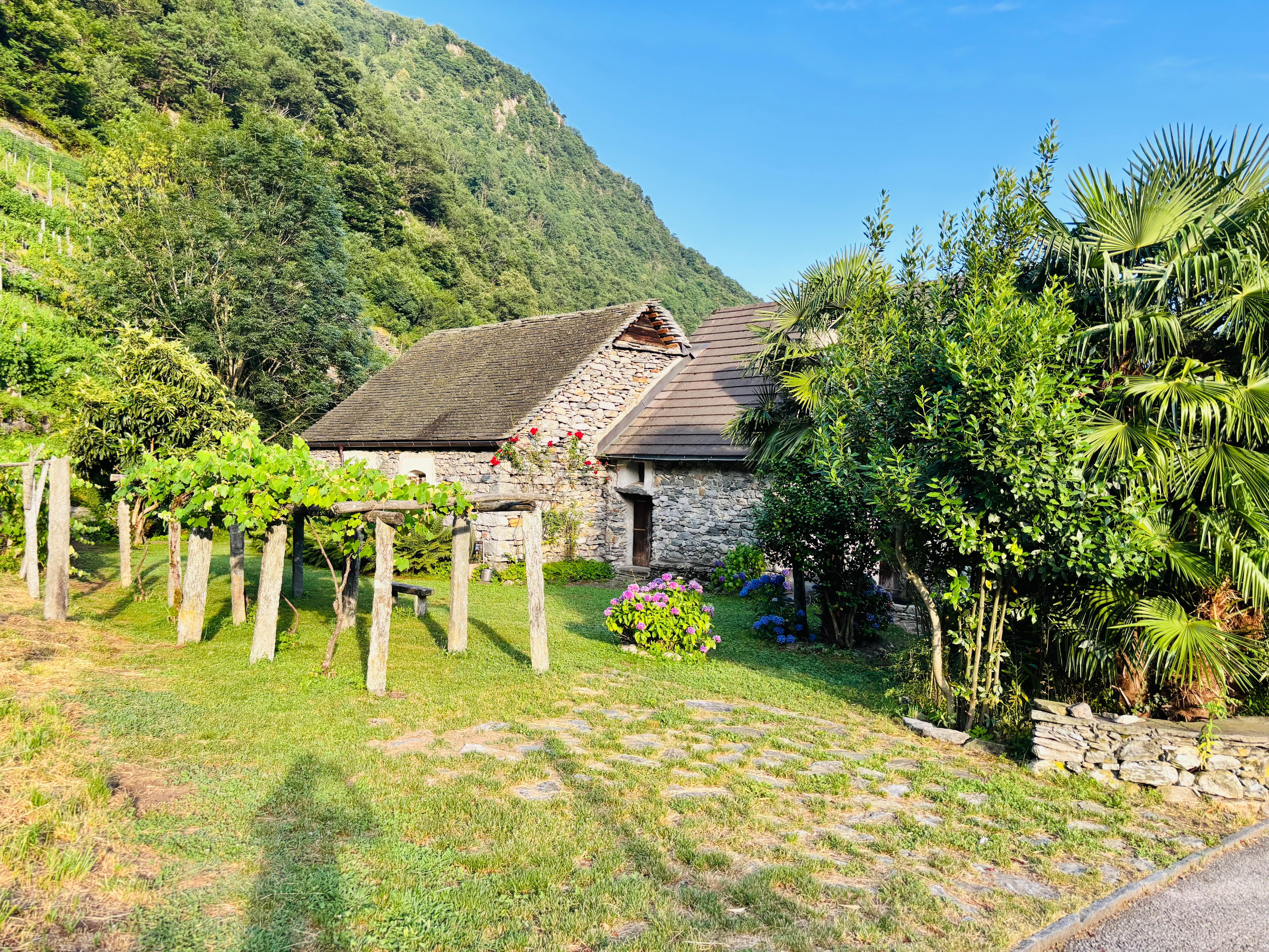 Stunning views of vineyard behind property 