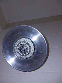 Mildew and mold in shower head