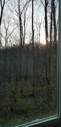 AM view from dining area.