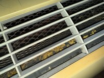 Mold in AC/Heater Unit