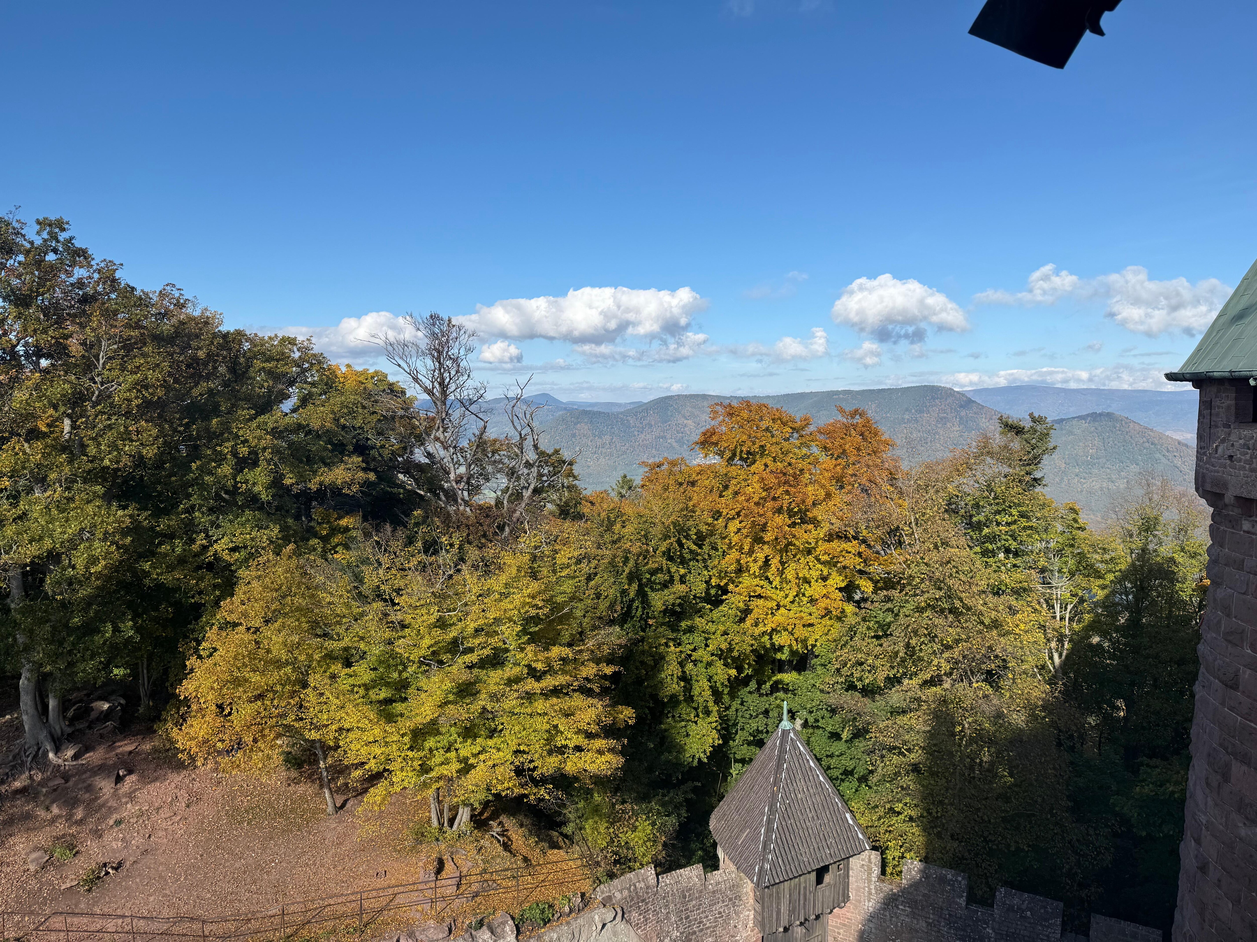 Along the Route du Vins d’Alsace