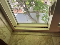Dead flys in window sill