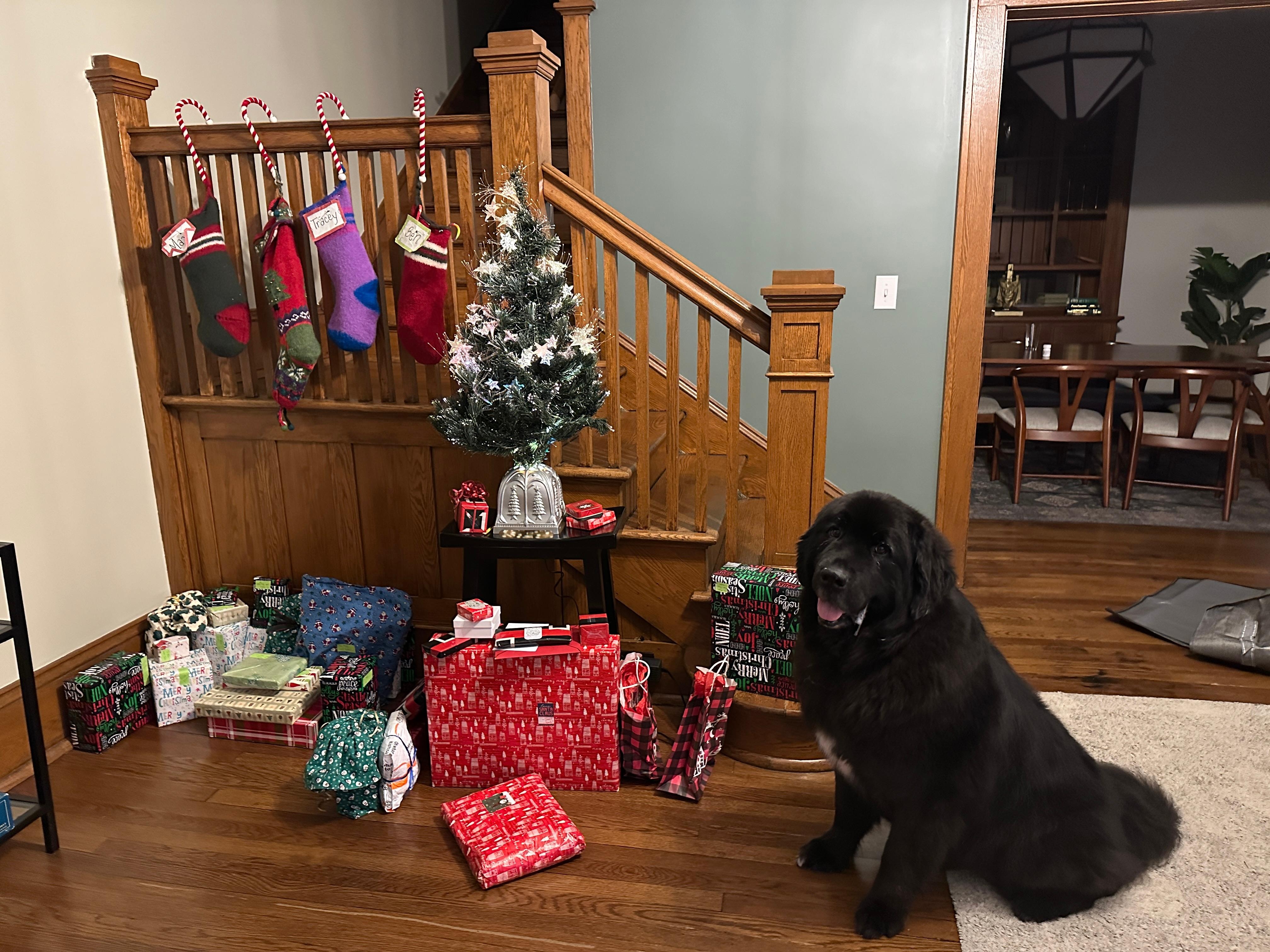 Brought Christmas with us! 